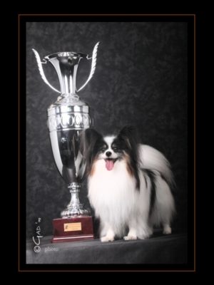ancredasia-elevage-pour-chien ancredasia-elevage-pour-chien