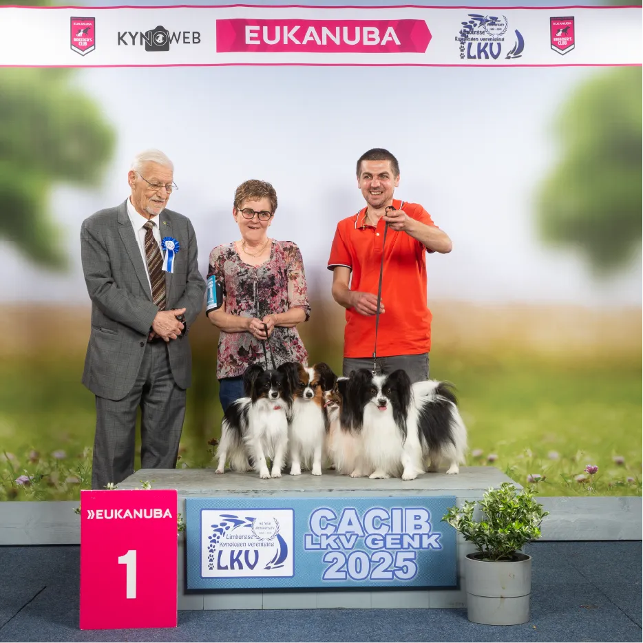 BEST IN SHOW 2