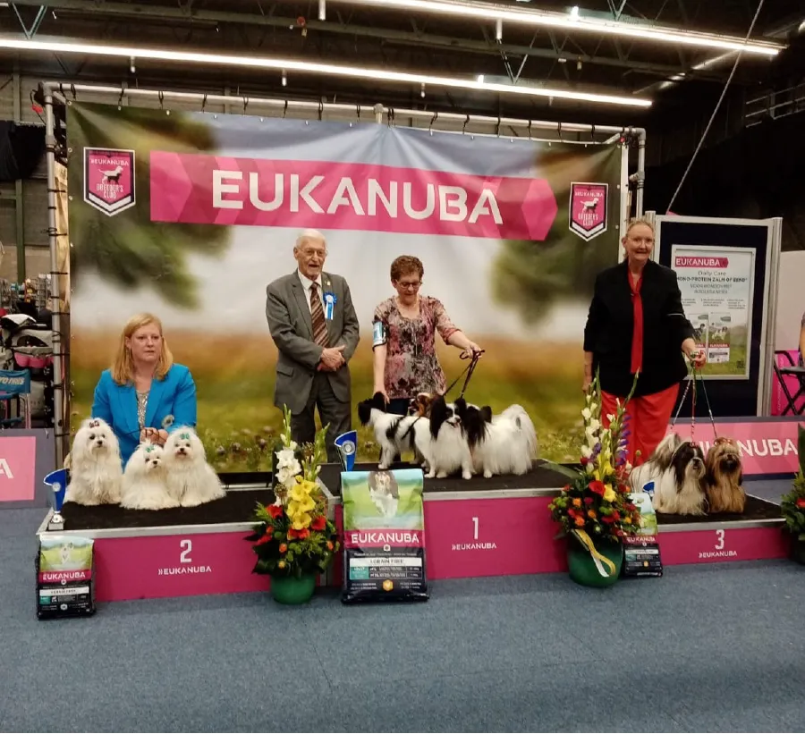 BEST IN SHOW